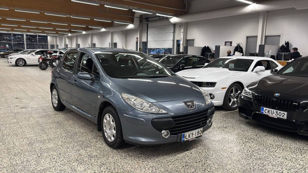 Peugeot 307 2007 Harmaa