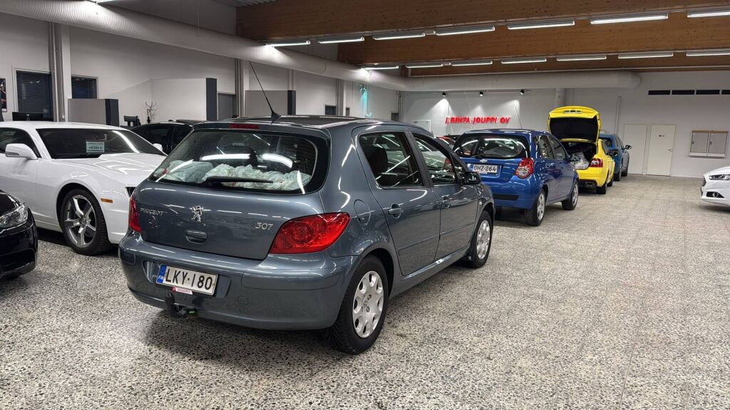 Peugeot 307 2007 Harmaa