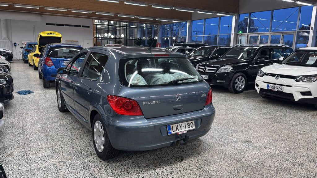 Peugeot 307 2007 Harmaa