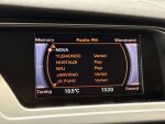 Audi A4 2010 Harmaa