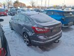 Ford Focus 2013 Ruskea (beige)