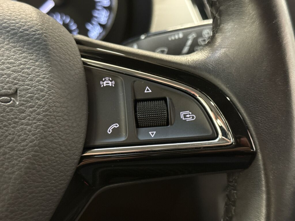 Skoda Fabia 2017 Ruskea (beige)