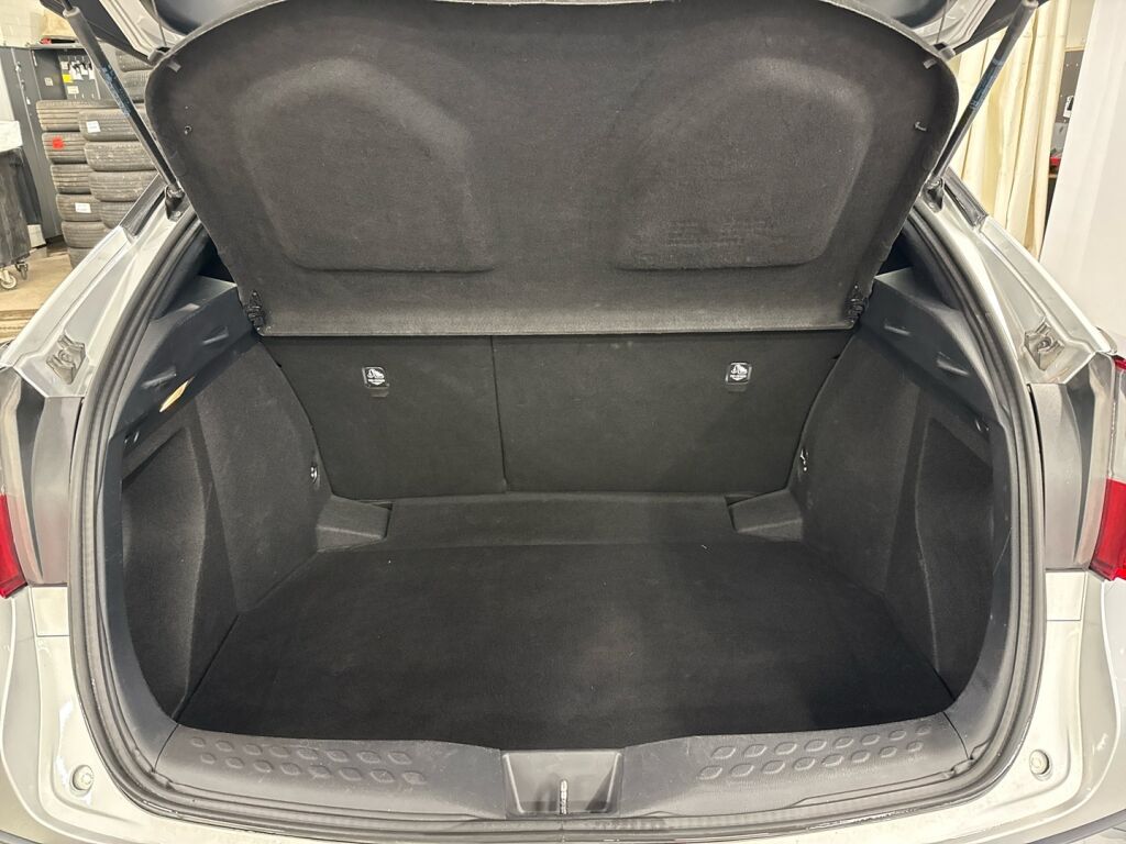 Toyota C-HR 2017 Hopea