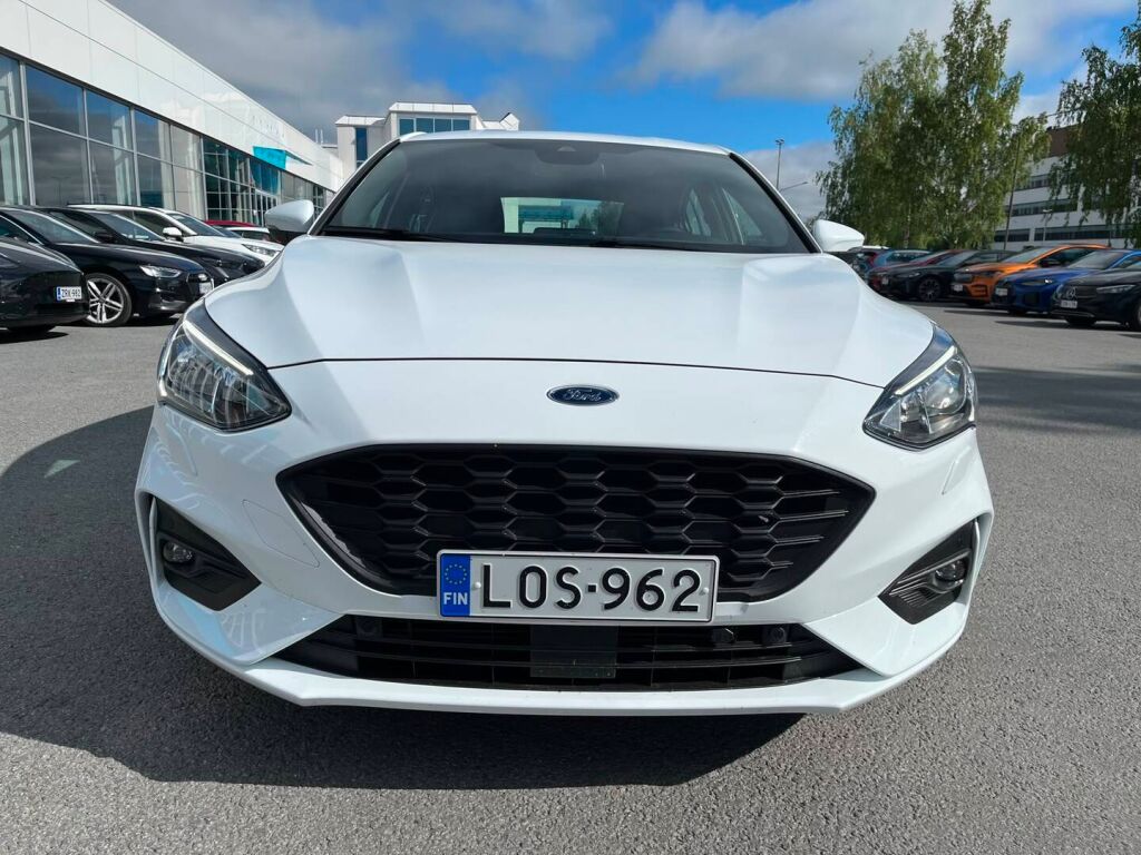 Ford Focus 2019 Valkoinen