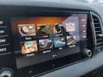 Skoda Karoq 2019 Ruskea (beige)