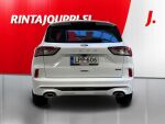 Ford Kuga 2021 Valkoinen