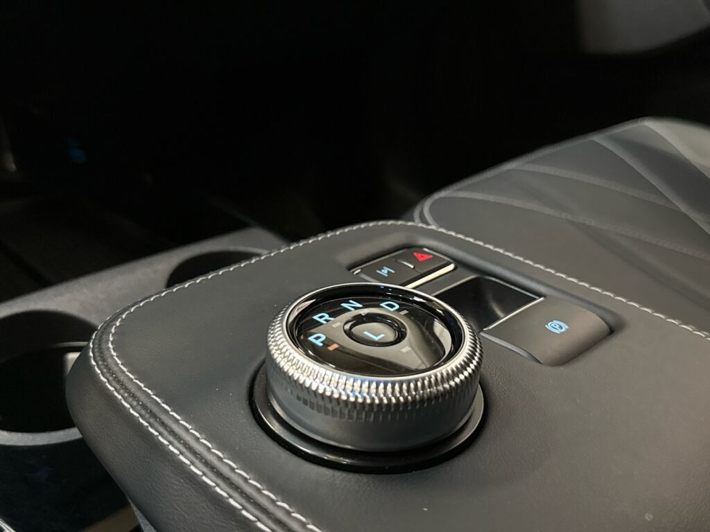 Ford Mustang Mach-E 2021 Musta