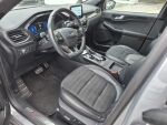 Ford Kuga 2020 Harmaa