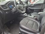 Ford Kuga 2020 Harmaa