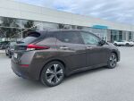 Nissan Leaf 2022 Ruskea (beige)