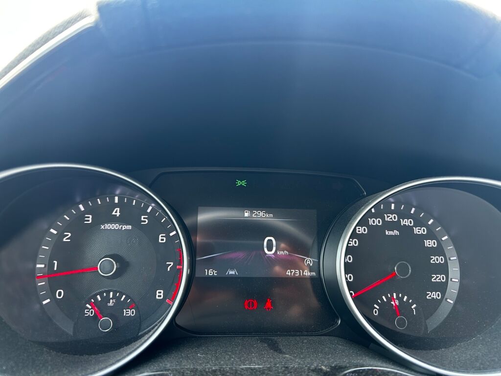 Kia Ceed 2022 Valkoinen