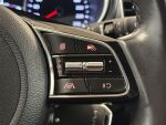 Kia Ceed 2023 Hopea