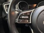 Kia Ceed 2023 Punainen