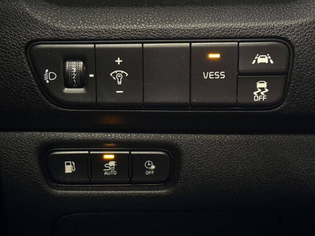Kia Niro plug-in 2020 Valkoinen