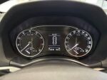 Skoda Octavia 2010 Ruskea (beige)
