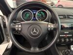 Mercedes-Benz SLK 2004 Harmaa