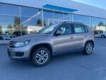 Volkswagen Tiguan 2012 Ruskea (beige)