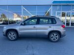 Volkswagen Tiguan 2012 Ruskea (beige)