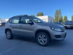 Volkswagen Tiguan 2012 Ruskea (beige)