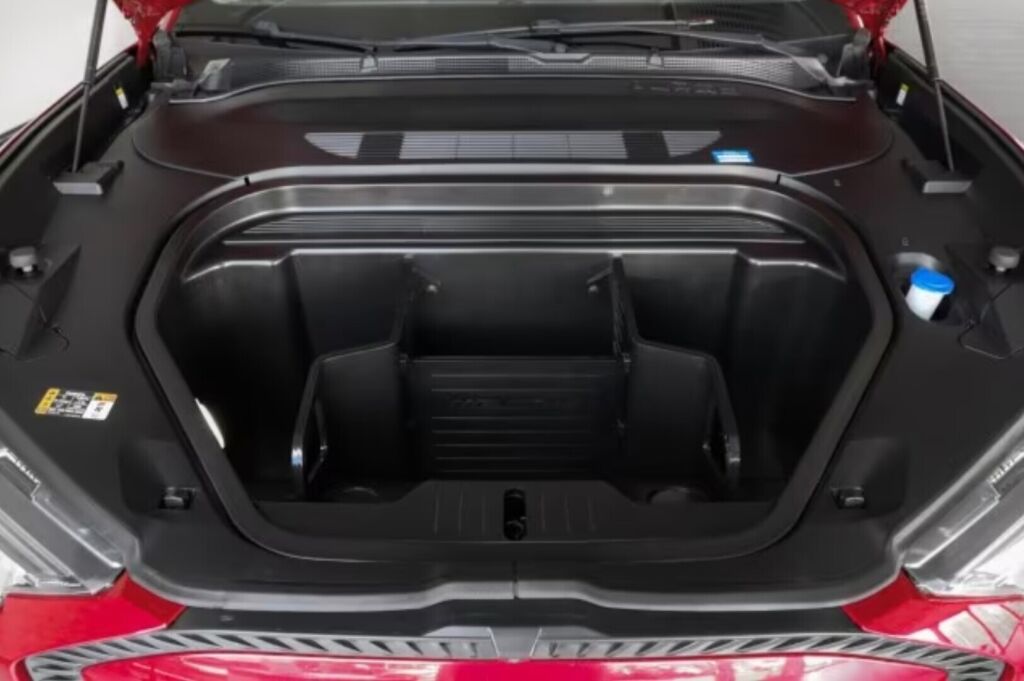 Ford Mustang Mach-E 2021 