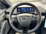 Ford Mustang Mach-E 2022 