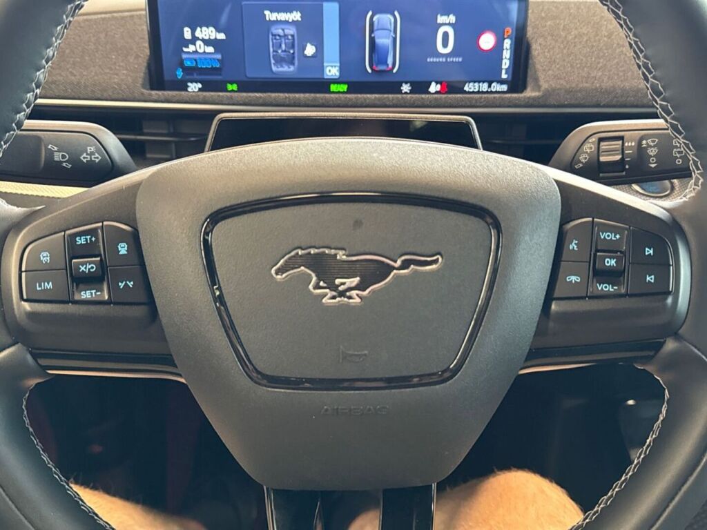 Ford Mustang Mach-E 2024 Musta