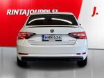 Skoda Superb 2016 Valkoinen