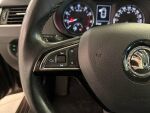 Skoda Octavia 2016 Ruskea (beige)