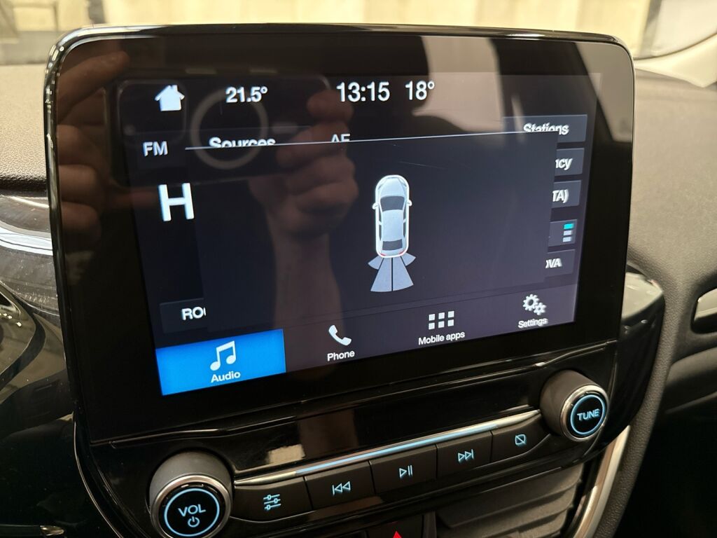 Ford Fiesta 2018 Harmaa