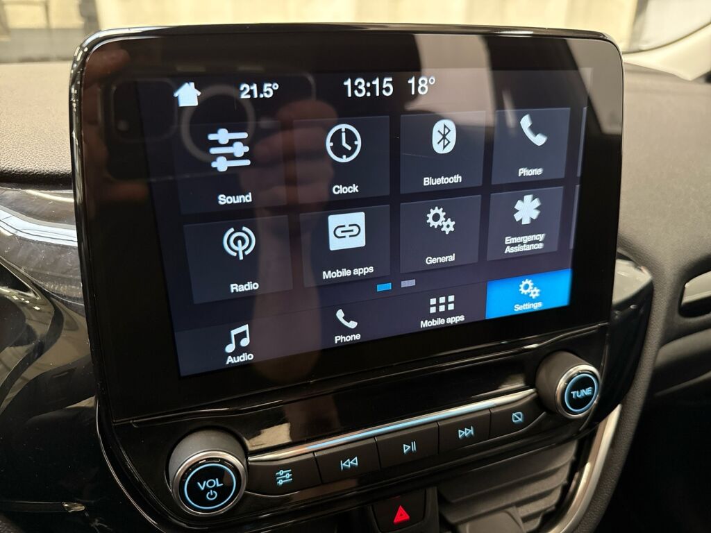 Ford Fiesta 2018 Harmaa