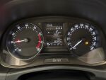 Skoda Fabia 2018 Harmaa