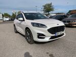 Ford Kuga 2022 Valkoinen