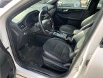 Ford Kuga 2022 Valkoinen