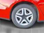 Ford Focus 2022 Punainen