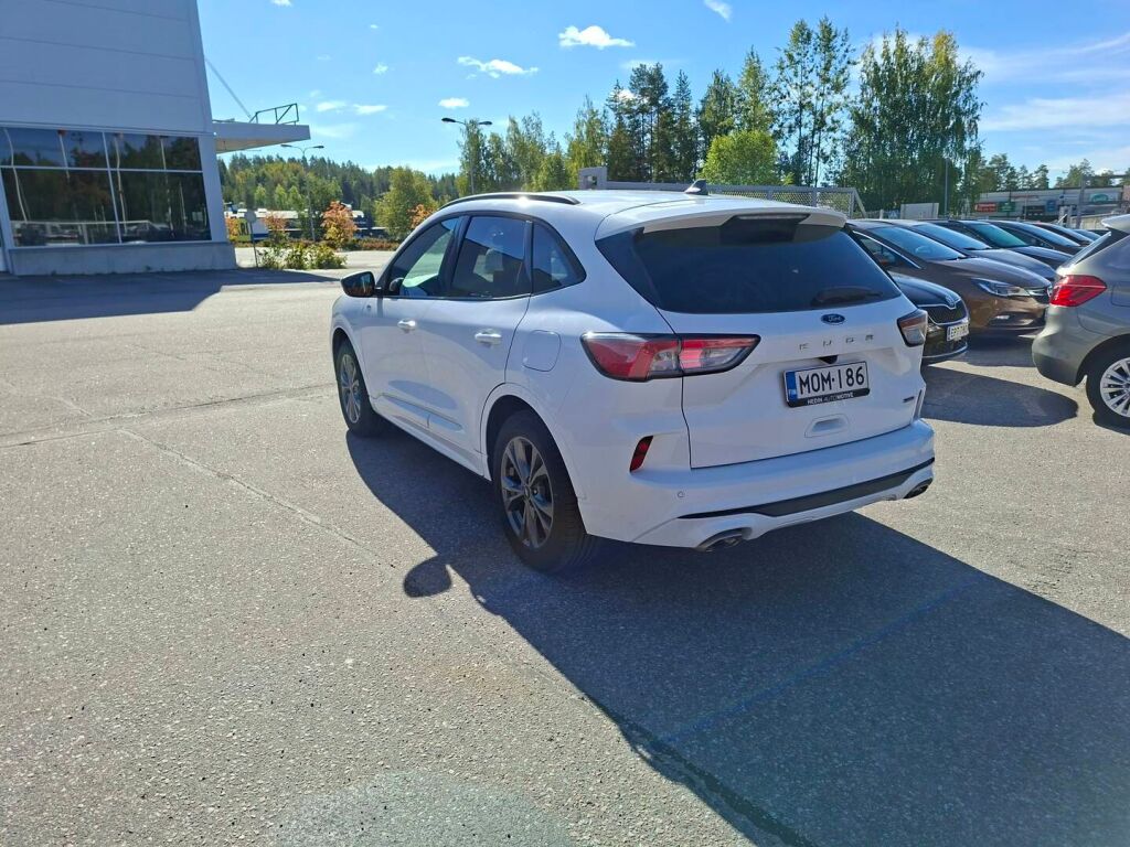 Ford Kuga 2023 Valkoinen