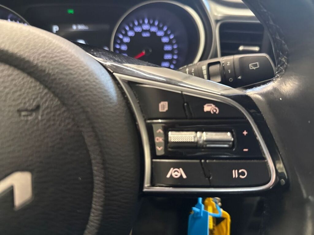 Kia Ceed 2023 Punainen