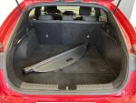 Kia ProCeed 2023 Punainen