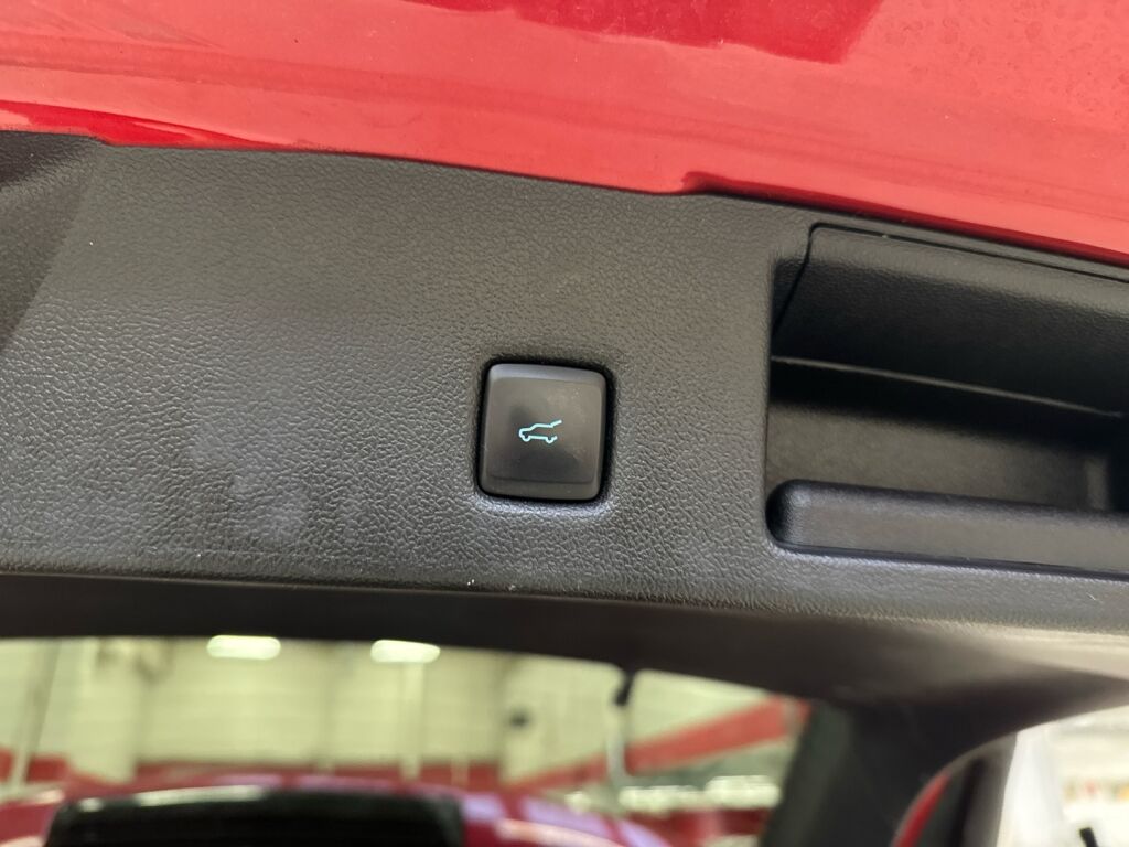 Ford Kuga 2023 Punainen