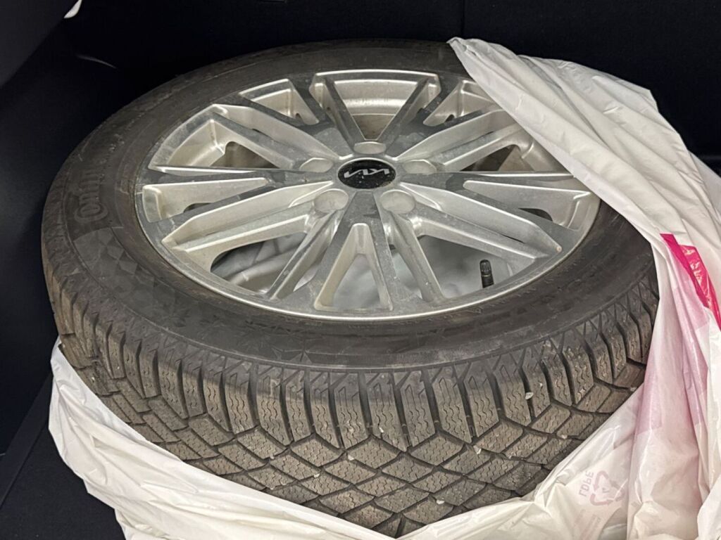 Kia Niro 2022 Valkoinen