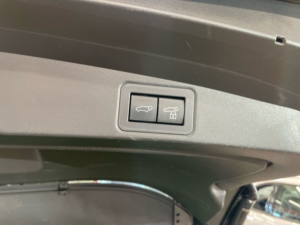 Toyota Corolla 2023 Ruskea (beige)