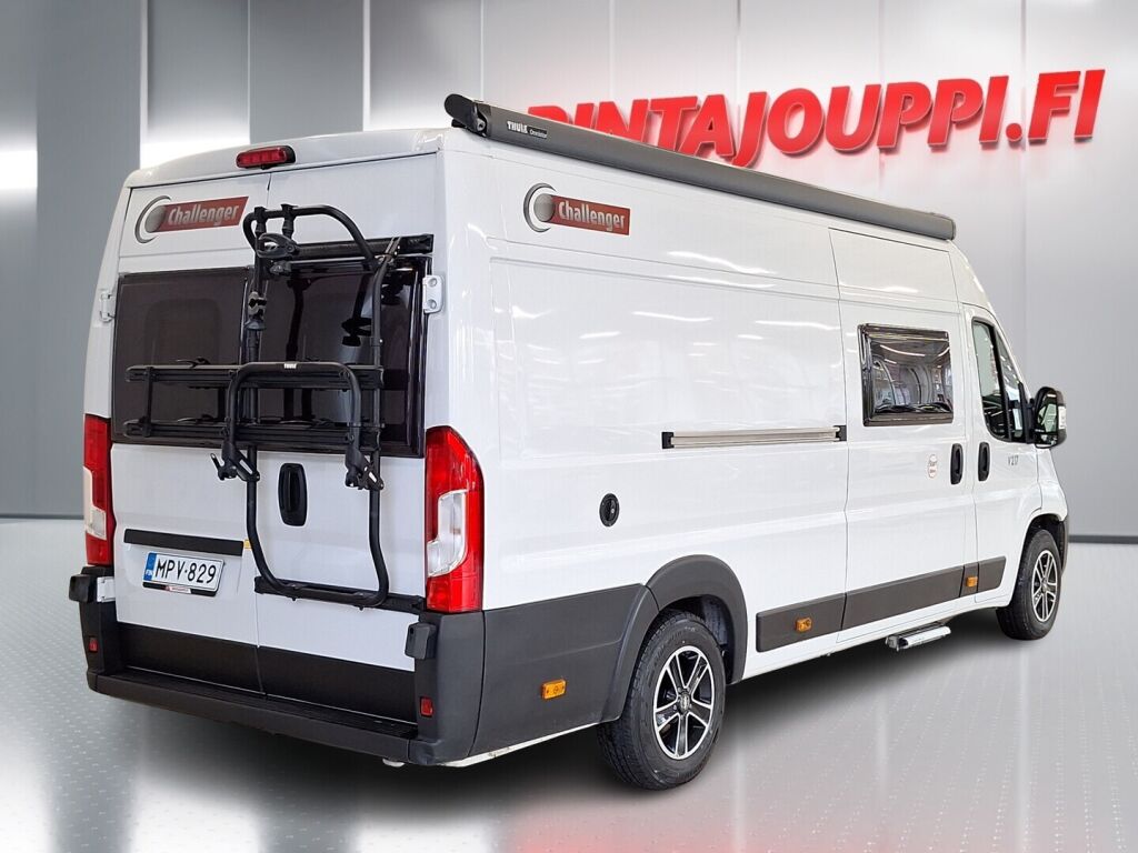 Challenger V217 2025 Valkoinen