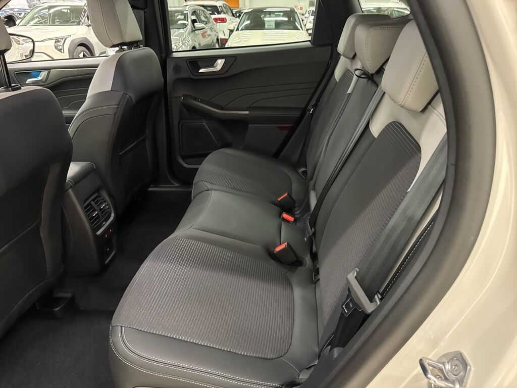 Ford Kuga 2026 Valkoinen