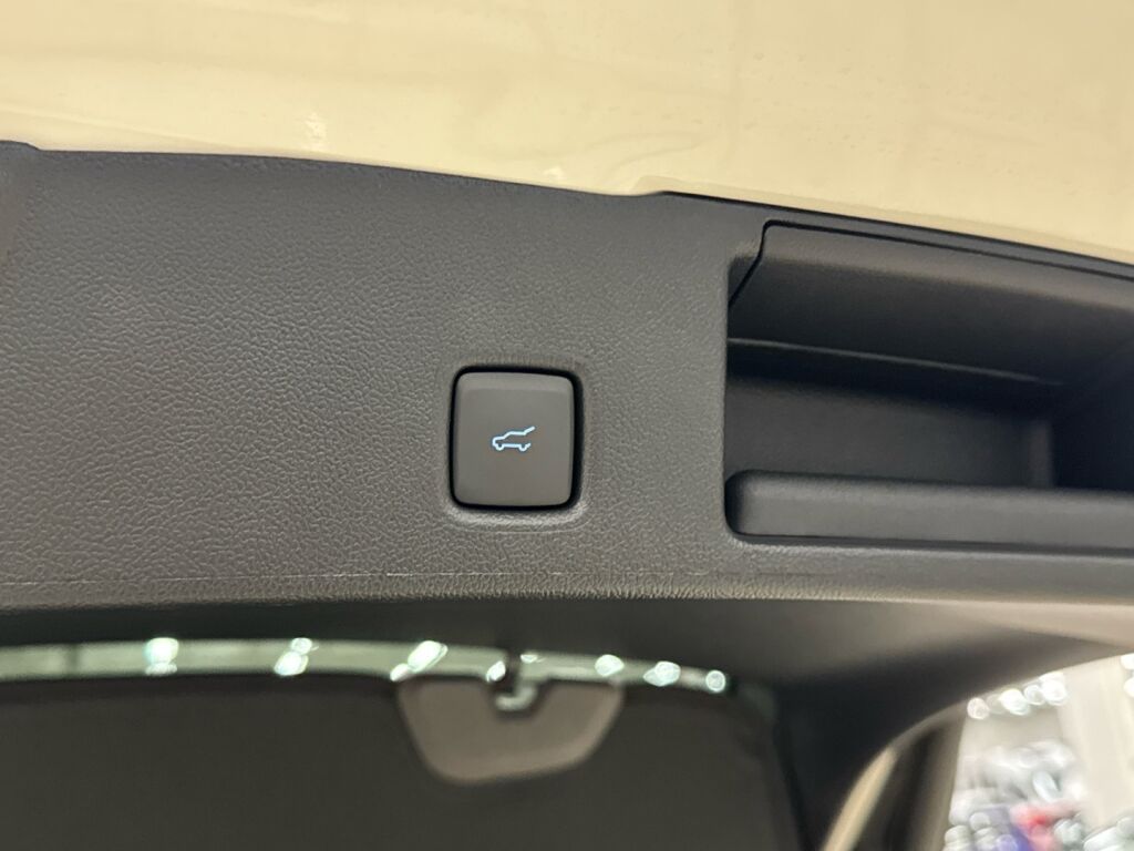 Ford Kuga 2026 Valkoinen