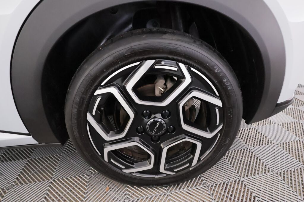 Byd Dolphin 2024 Valkoinen