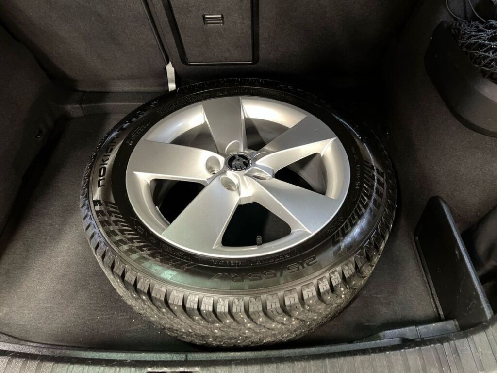 Skoda Karoq 2019 Sininen
