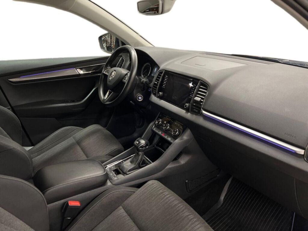 Skoda Karoq 2019 Sininen