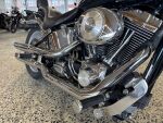 Harley-davidson Softail 2000 Valkoinen
