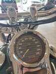 Harley-davidson Softail 2000 Valkoinen