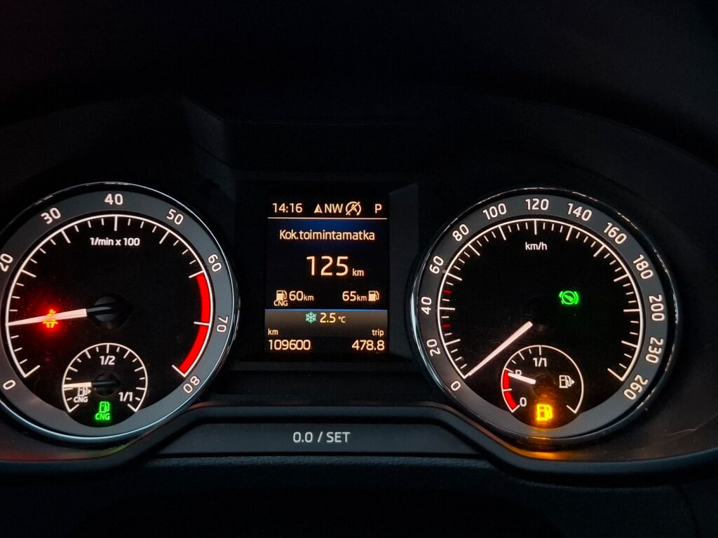 Skoda Octavia 2020 Sininen