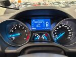 Ford Kuga 2013 Ruskea (beige)